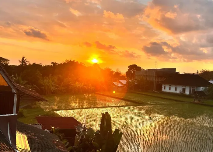 招待所 Kubu Yr Village